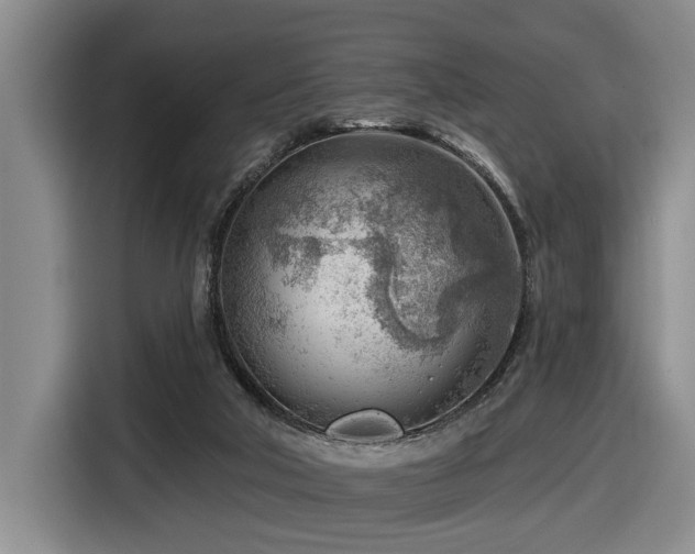 X0000116670018200912141349