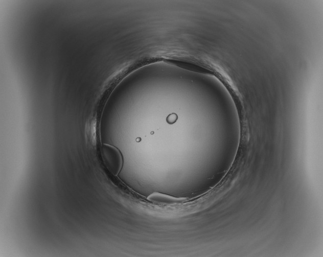 X0000116670019200912141349