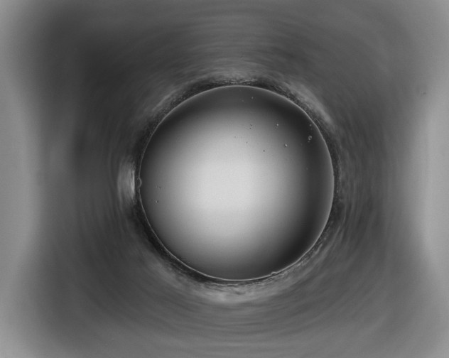 X0000116670021200912141349