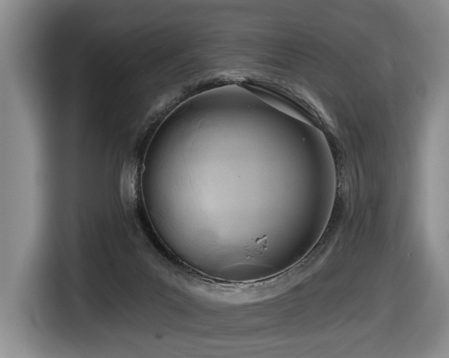 X0000116670023200912141349