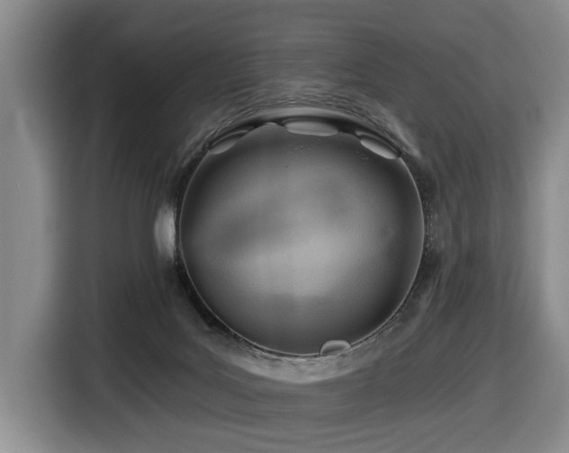 X0000116670027200912141349