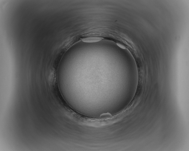 X0000116670029200912141349