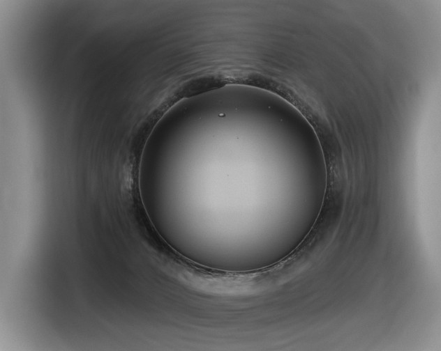 X0000116670032200912141349