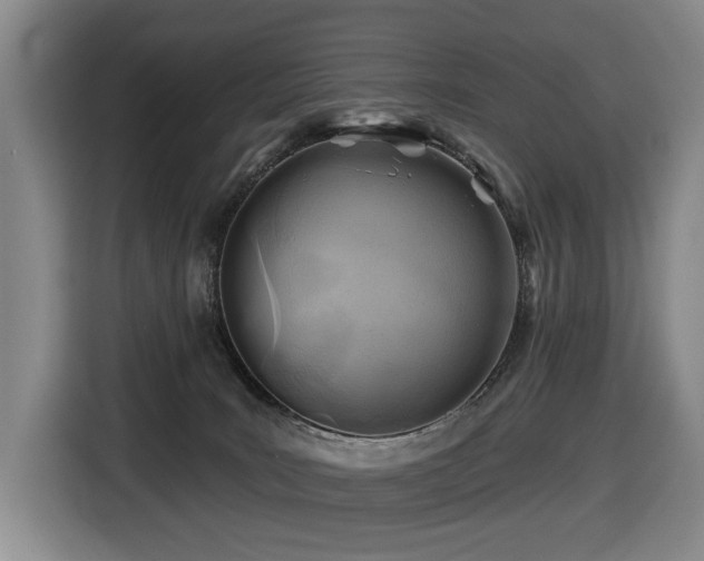 X0000116670035200912141349