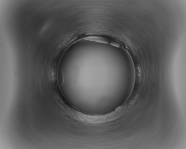 X0000116670039200912141349