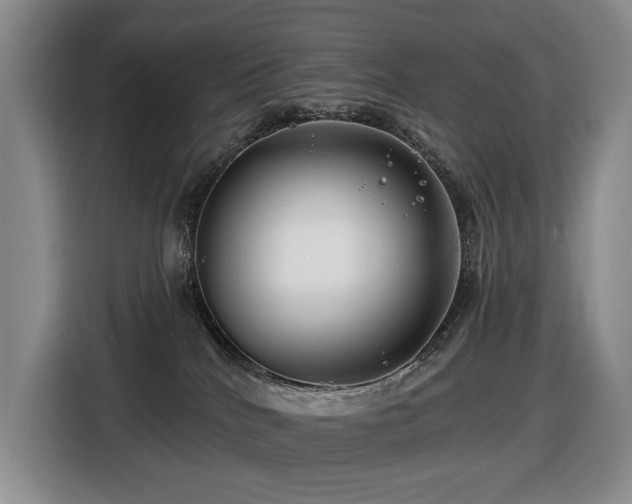 X0000116670040200912141349