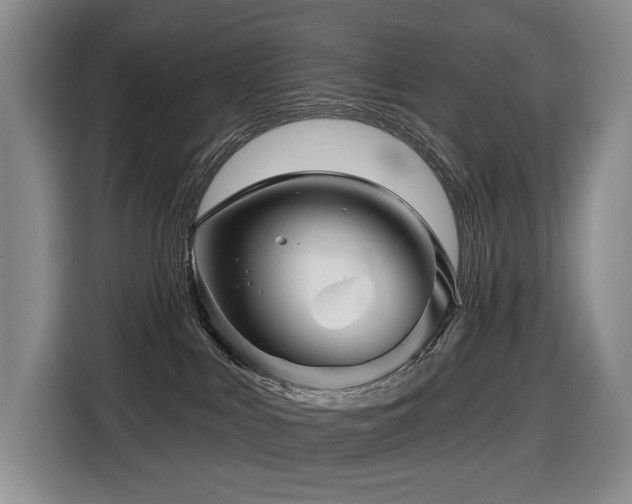 X0000116670043200912141349