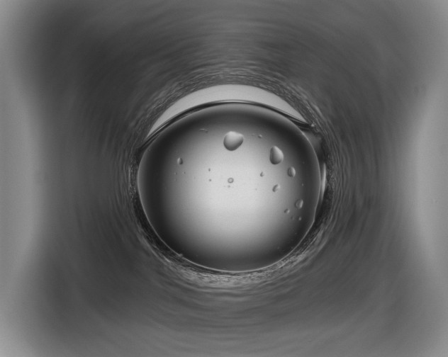 X0000116670044200912141349