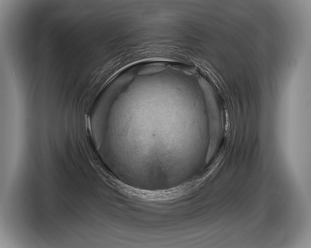 X0000116670046200912141349