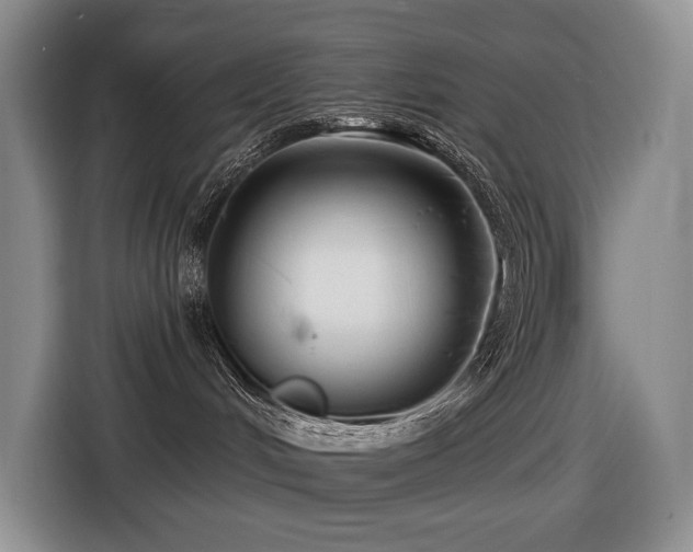 X0000116670048200912141349