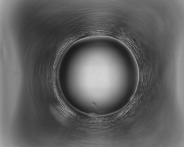 X0000116670049200912141348