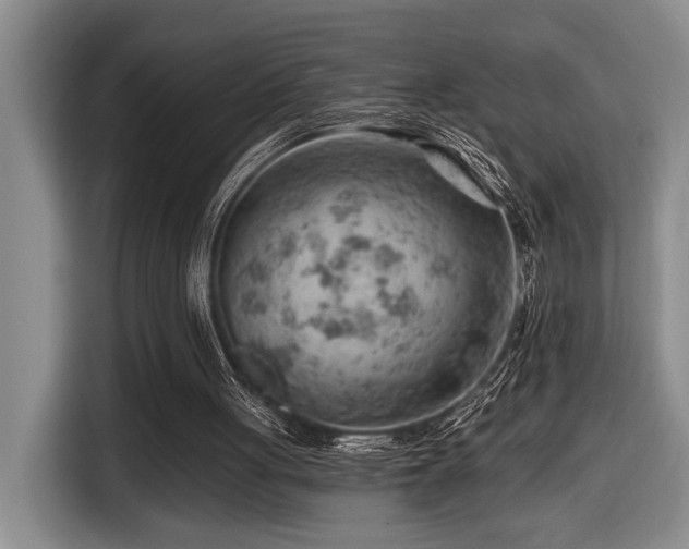 X0000116670051200912141348