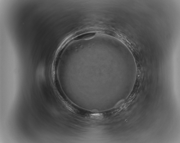 X0000116670053200912141348