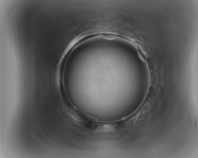 X0000116670056200912141349