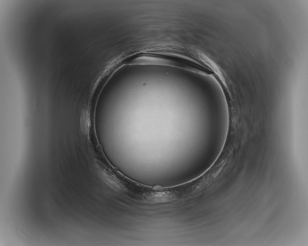 X0000116670059200912141349