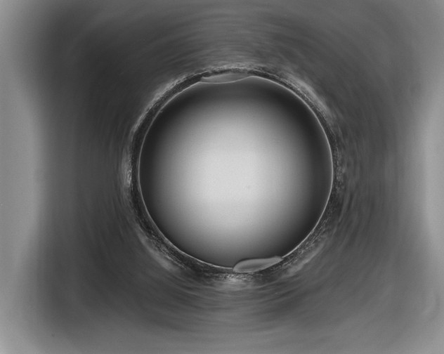 X0000116670060200912141349