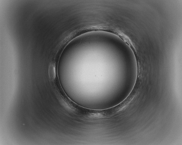 X0000116670061200912141349