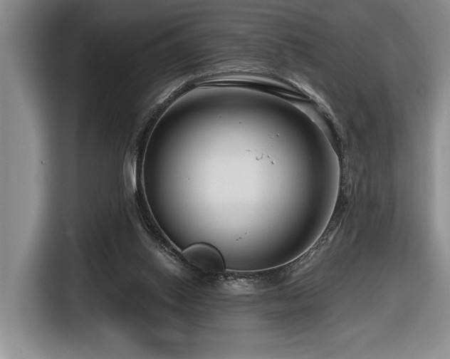 X0000116670062200912141349