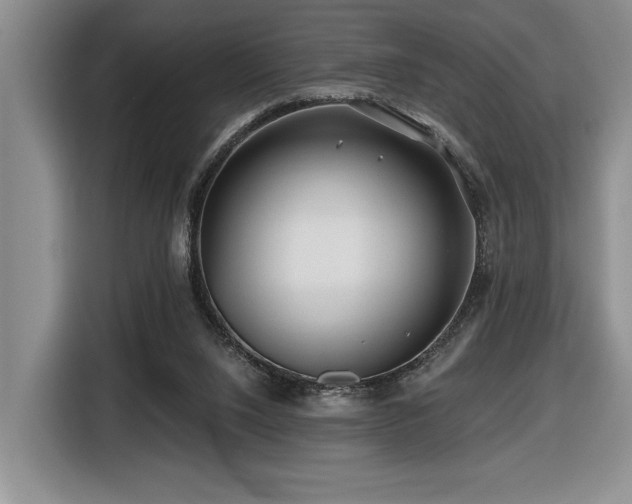 X0000116670064200912141349