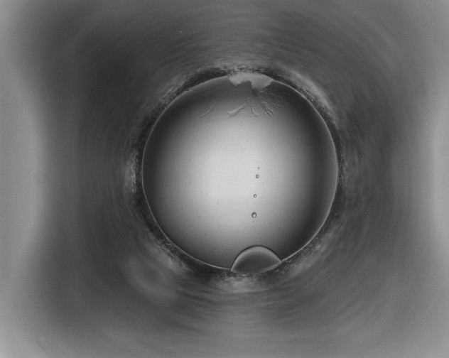 X0000116670065200912141349