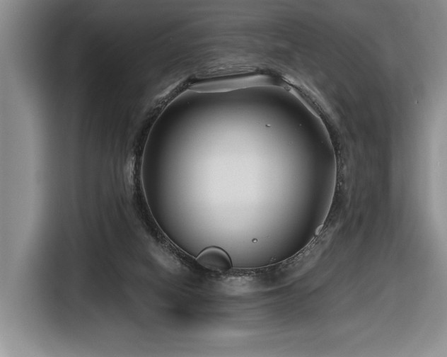 X0000116670066200912141349