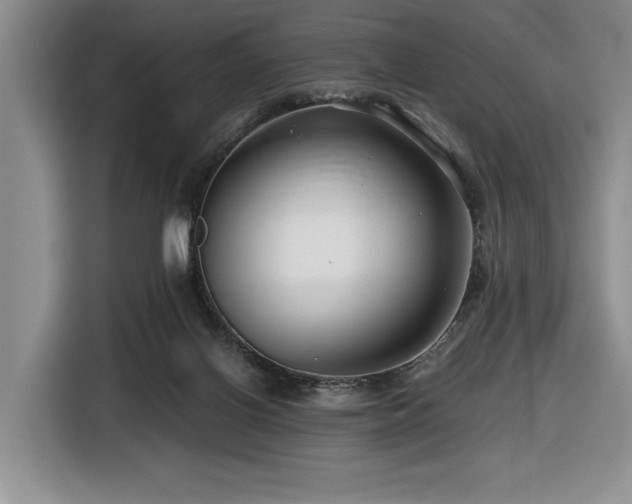 X0000116670070200912141349