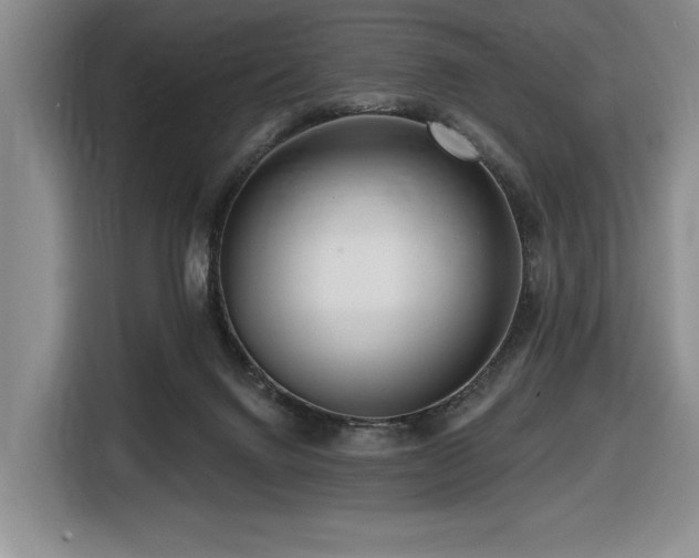 X0000116670072200912141349