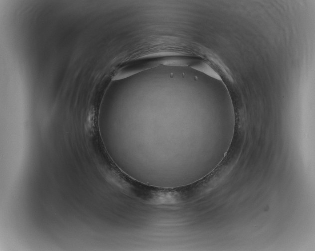 X0000116670073200912141349