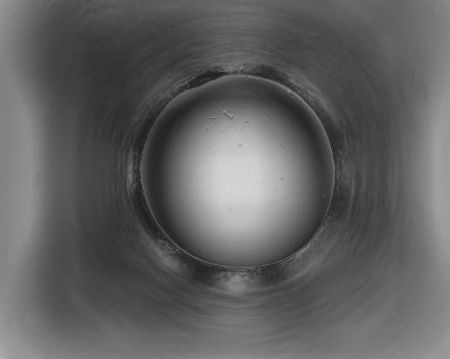 X0000116670074200912141349