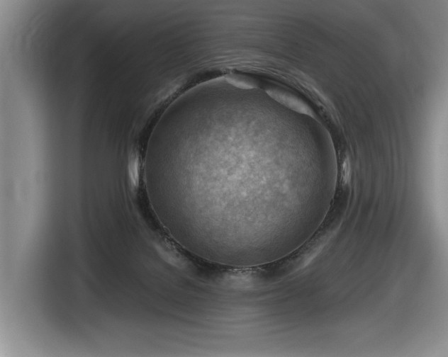 X0000116670076200912141349