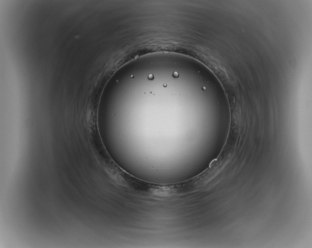 X0000116670079200912141349