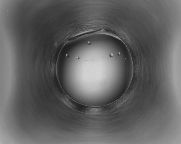 X0000116670081200912141349