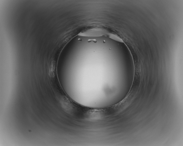 X0000116670082200912141349