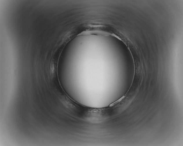 X0000116670084200912141349