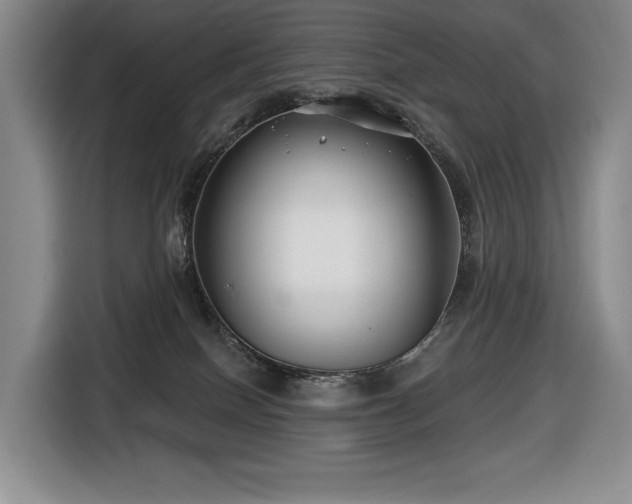 X0000116670086200912141349