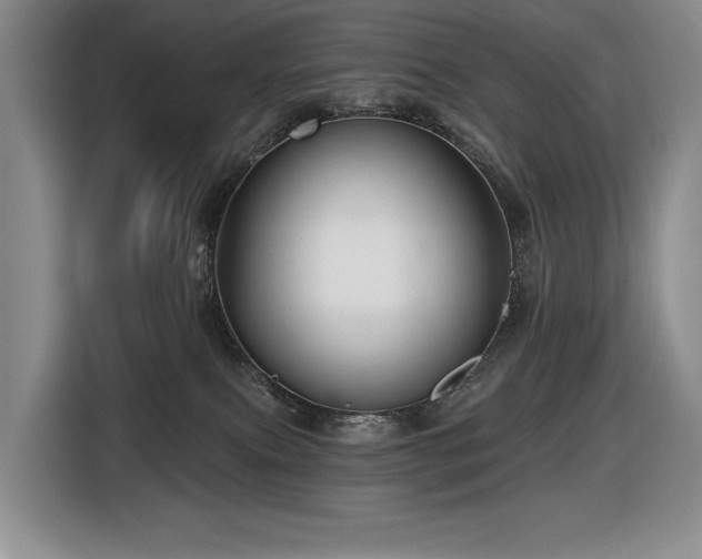 X0000116670087200912141349