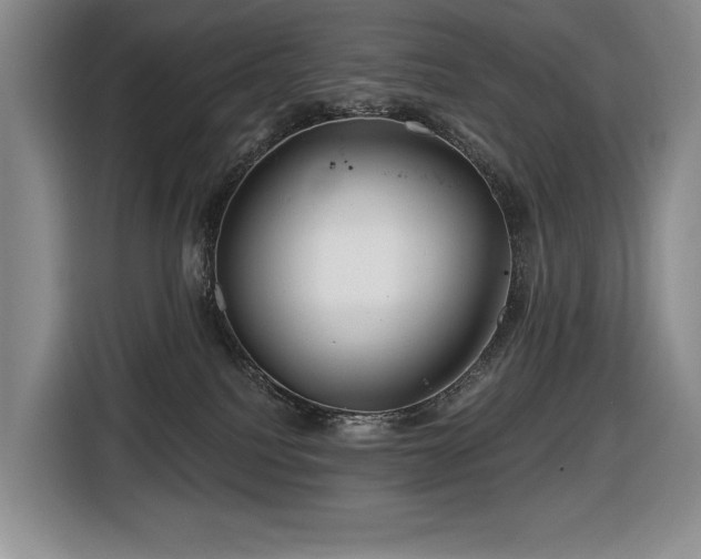 X0000116670088200912141349