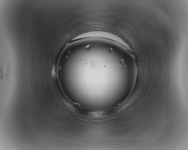 X0000116670089200912141349