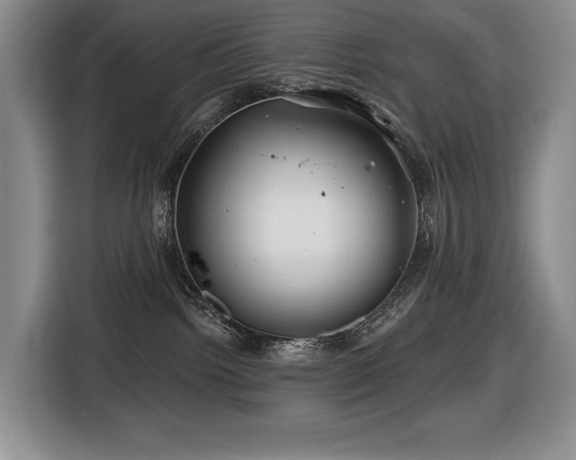 X0000116670092200912141349