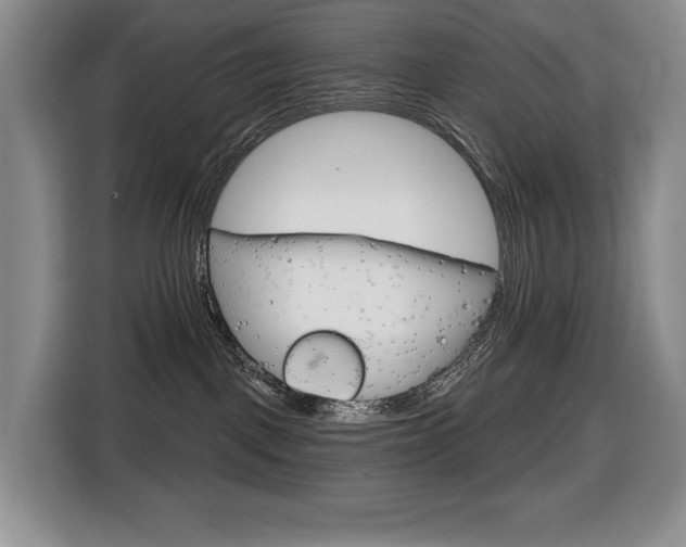 X0000116670093200912141349