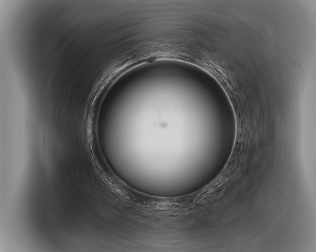 X0000116670098200912141348