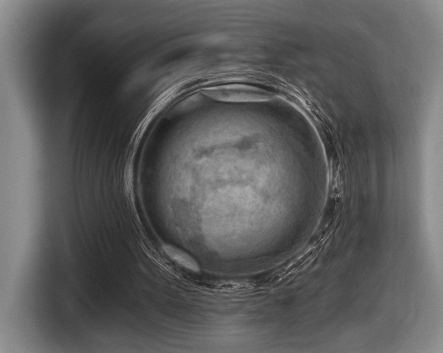 X0000116670099200912141348