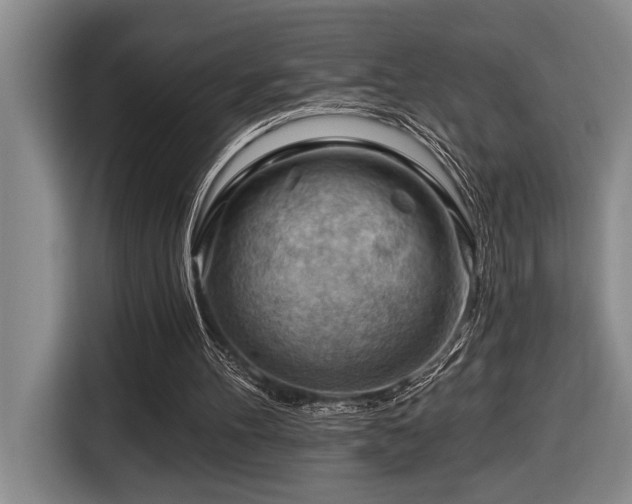 X0000116670100200912141348