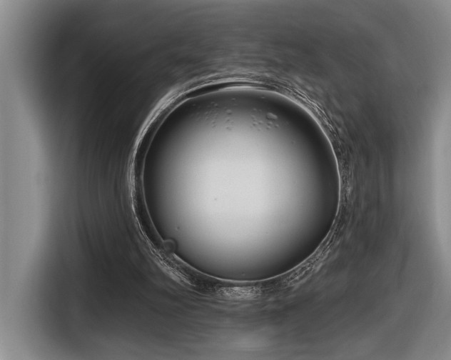 X0000116670102200912141348