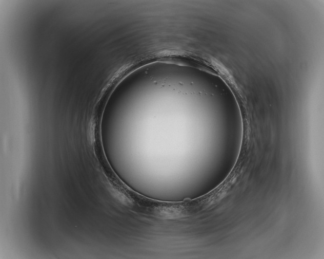 X0000116670106200912141348