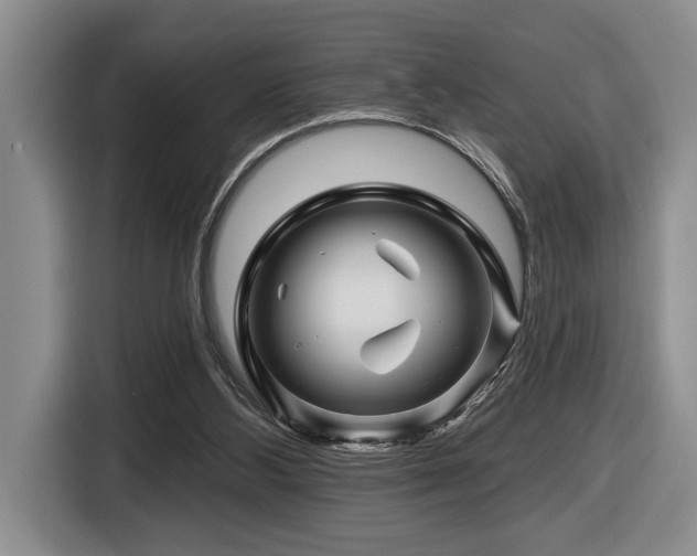 X0000116670108200912141348