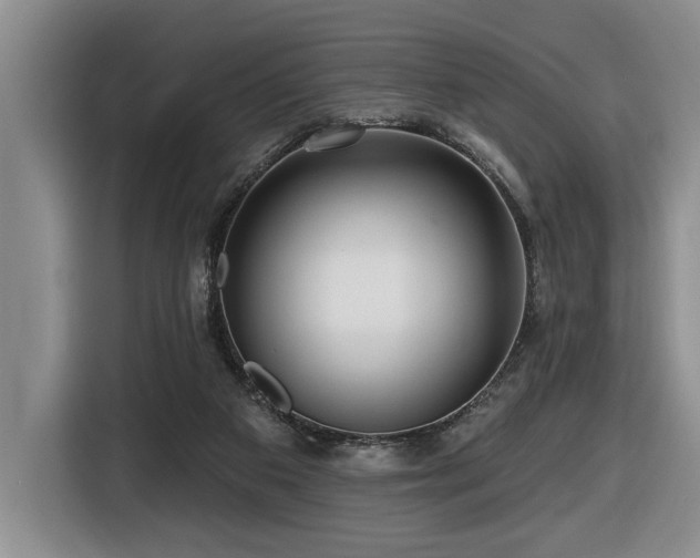 X0000116670113200912141348