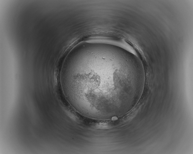 X0000116670114200912141348