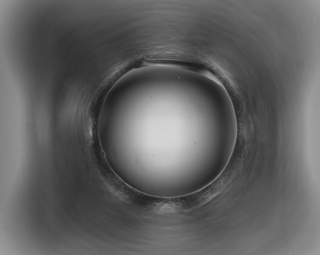 X0000116670115200912141348