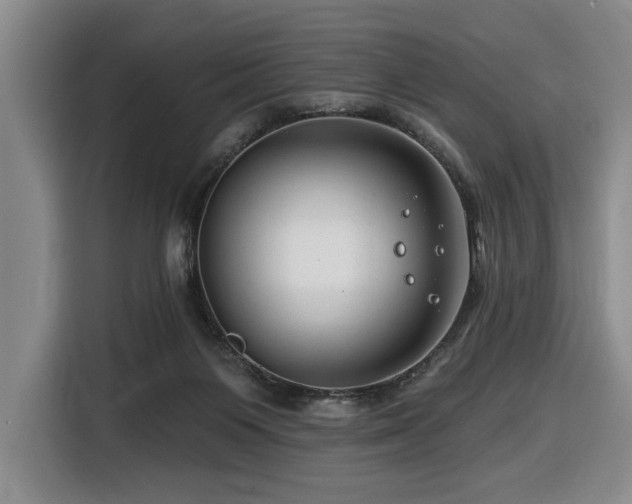 X0000116670119200912141348